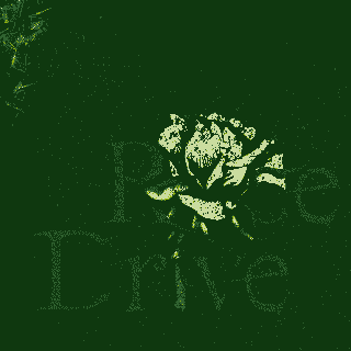Rose Drive